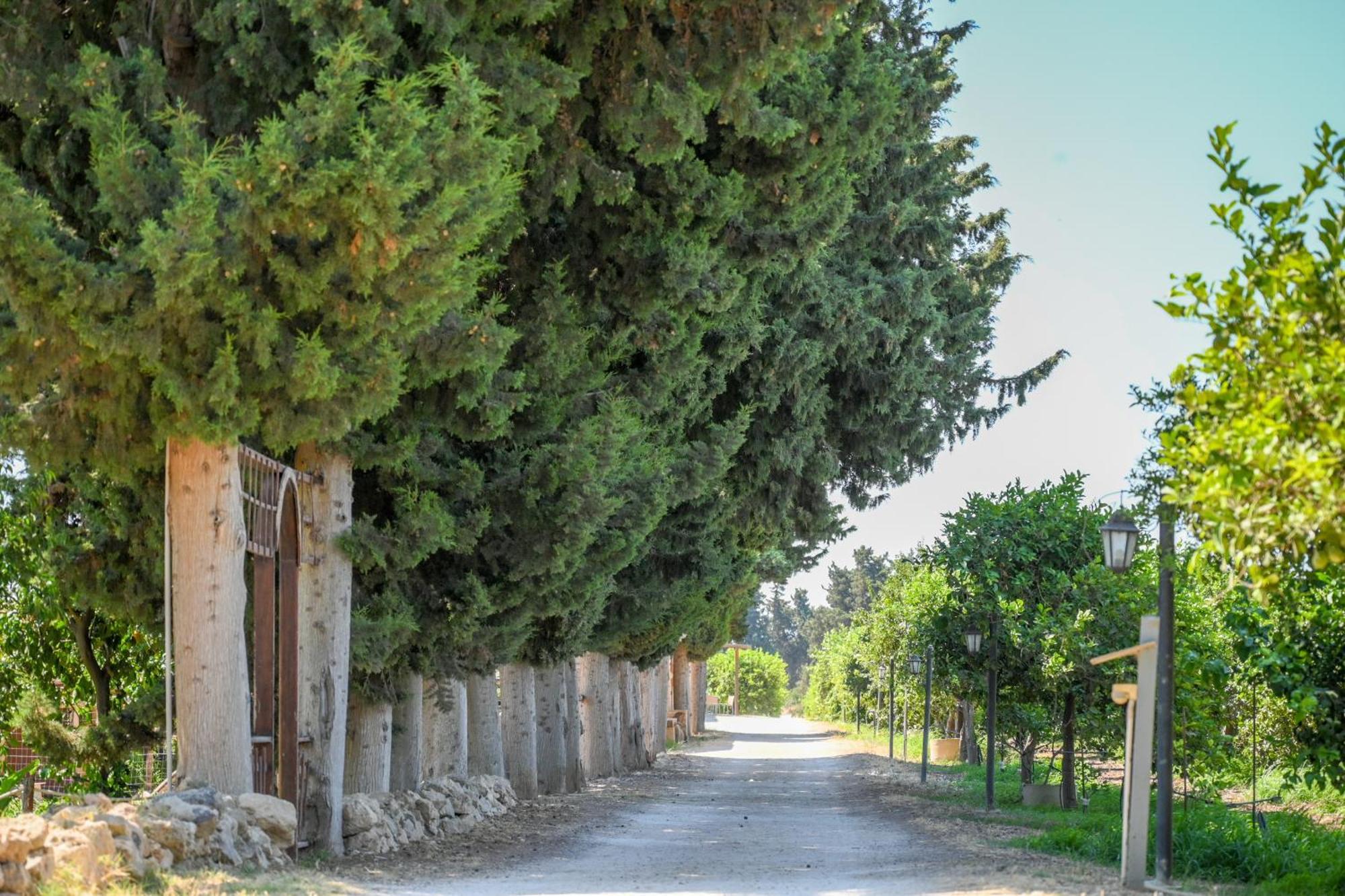 Agriturismo Torre Vendicari Noto Kültér fotó